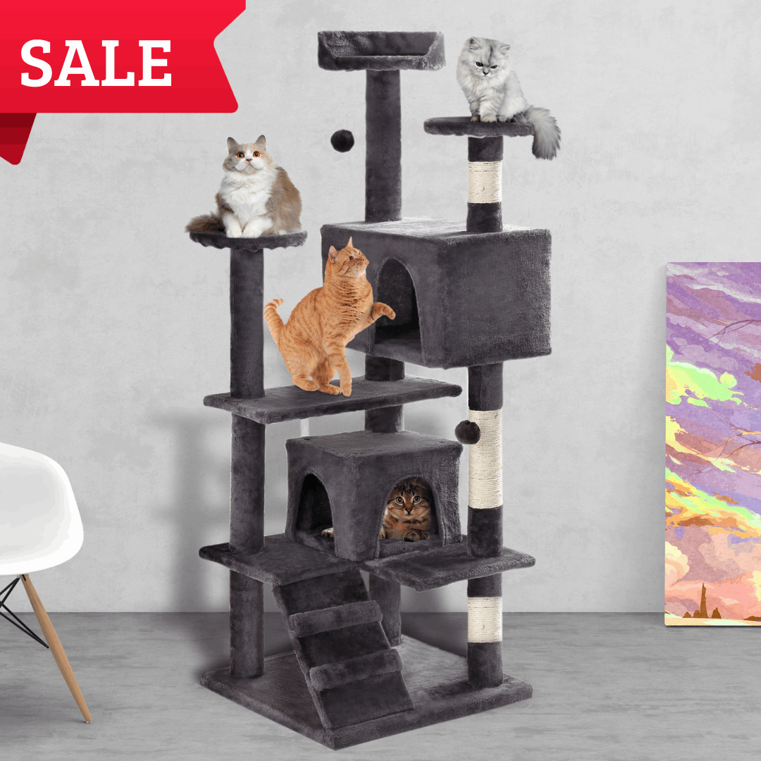 Cat top tree sale