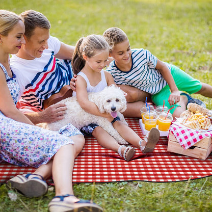 Picnic Blanket Portable, 200 x 200CM Extra Large Waterproof Picnic Mats with Carrying Handle, Outdoor Multipurpose Rugs for Camping, Travel, Park, Beach, Garden, Family Gathering