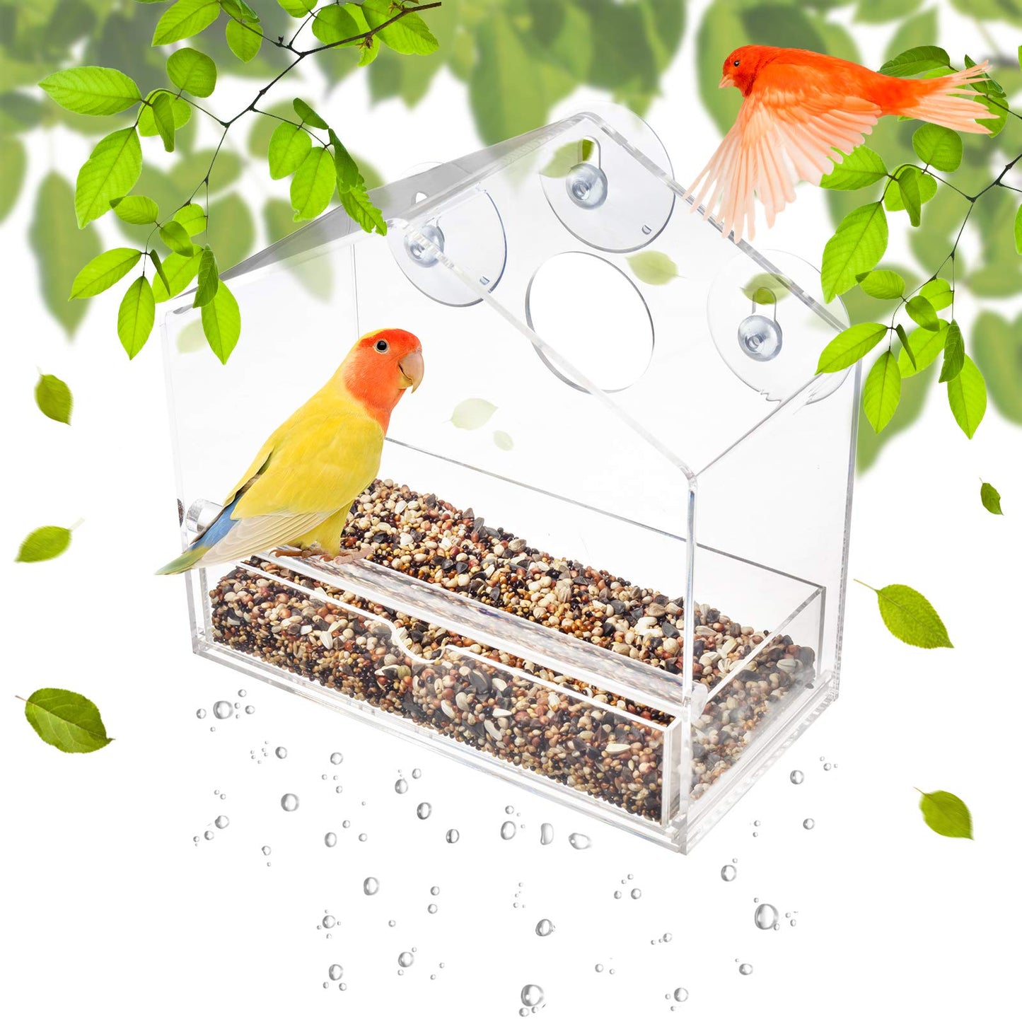 Outside Acrylic Balcony Window Bird Feeder with Drain Holes, Removable Tray, Super Strong Suction Cups,High Seed Capacity, Great Gift,Easy to Clean (20 x 18.5 x 10cm)